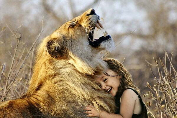 Mơ thấy sư tử vào nhà báo gì? Mơ thấy sư tử đuổi đánh con gì