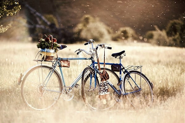 mơ thấy đạp xe cùng bạn