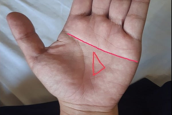 vị trí đường chỉ tay hình tam giác