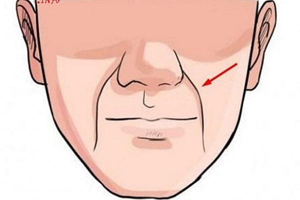 Đường Pháp Lệnh Là Gì? Nằm Ở Đâu?