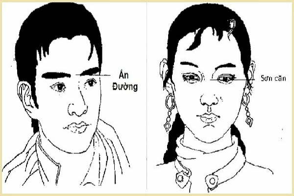 Sơn căn nằm ở đâu?