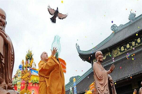 Hồi hướng công đức phóng sinh