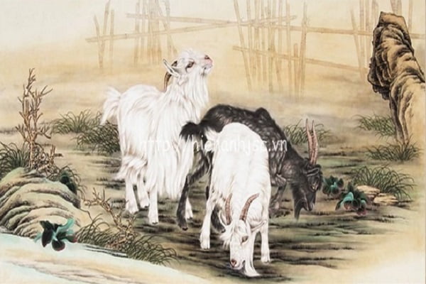 Người sinh giờ Mùi thì sao