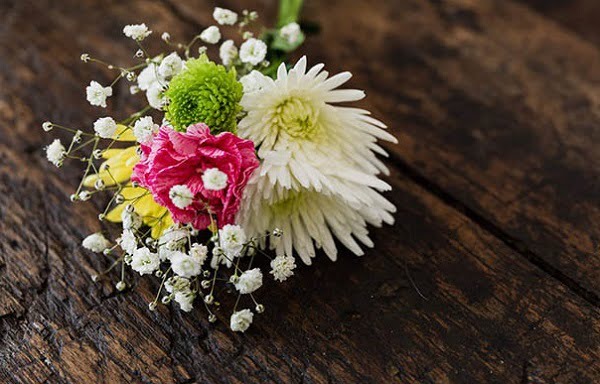 Người sinh tháng 11 cung gì