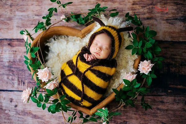 Bố họ Đỗ đặt tên con gái là gì