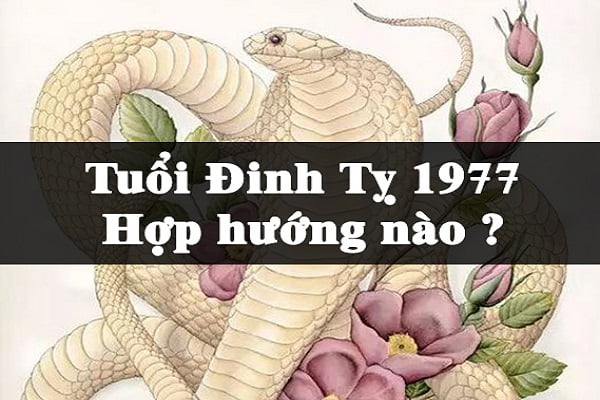 Tuổi Đinh Tỵ sinh năm 1977 hợp hướng nào nhất?