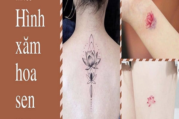 Hình xăm hoa sen: Ý nghĩa, Tattoo hoa sen đẹp nhất
