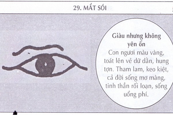 Xem tướng mắt chó sói ở nam nữ đoán tính cách, vận mệnh